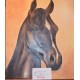 B 1076 Orignal Painting of Horse